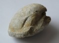 /album/fotogaleria-fosilie/bivalvia-jpg/
