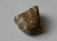 /album/fotogaleria-fosilie/mamut-jpg/