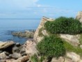 /album/fotogaleria-priroda/taiwan-jpg/